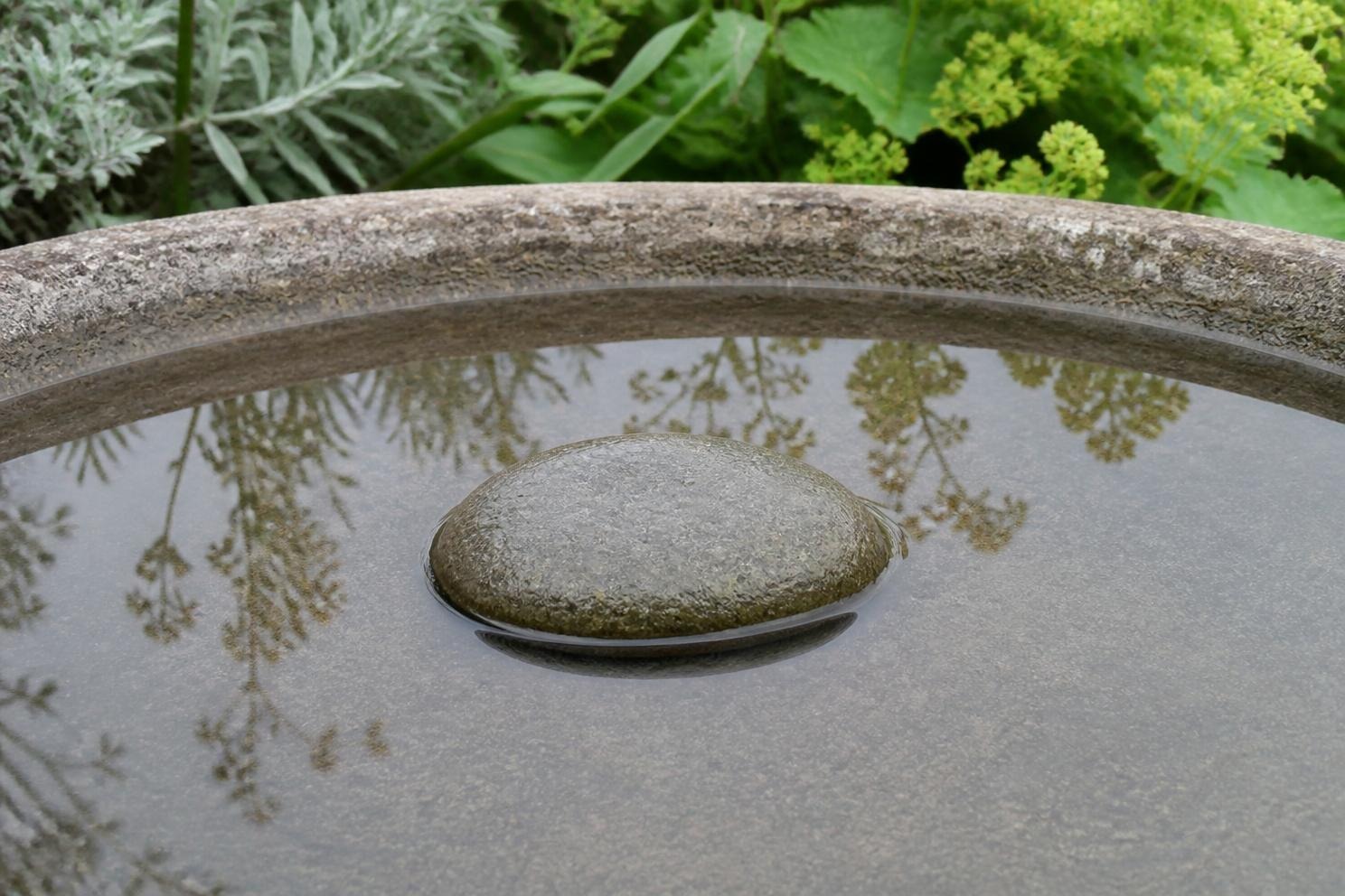 Flat stone breaking the surface of a shallow bird bath