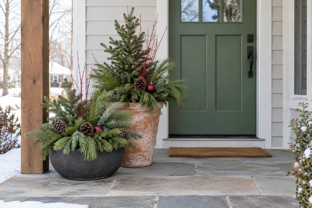 9 Christmas Planter Ideas for Indoors and Outside