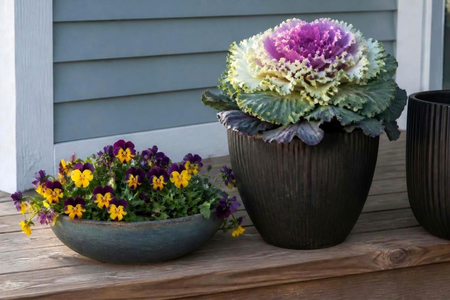 Fall Planter Ideas for Cool-Weather Flowers