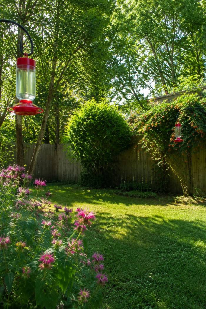 Two hummingbird feeders hanging at least 15 feet apart in a backyard with flowering plants nearby