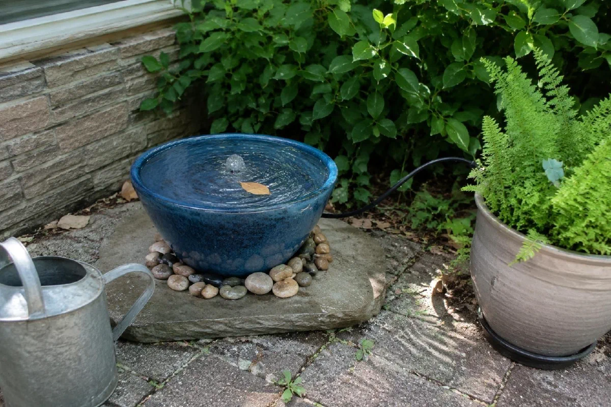 Above-ground water bowl beside ferns on a paved surface