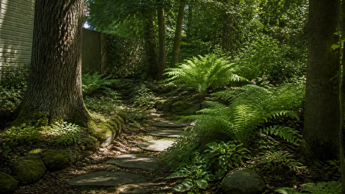 Stone path through moss and ferns in a shaded garden